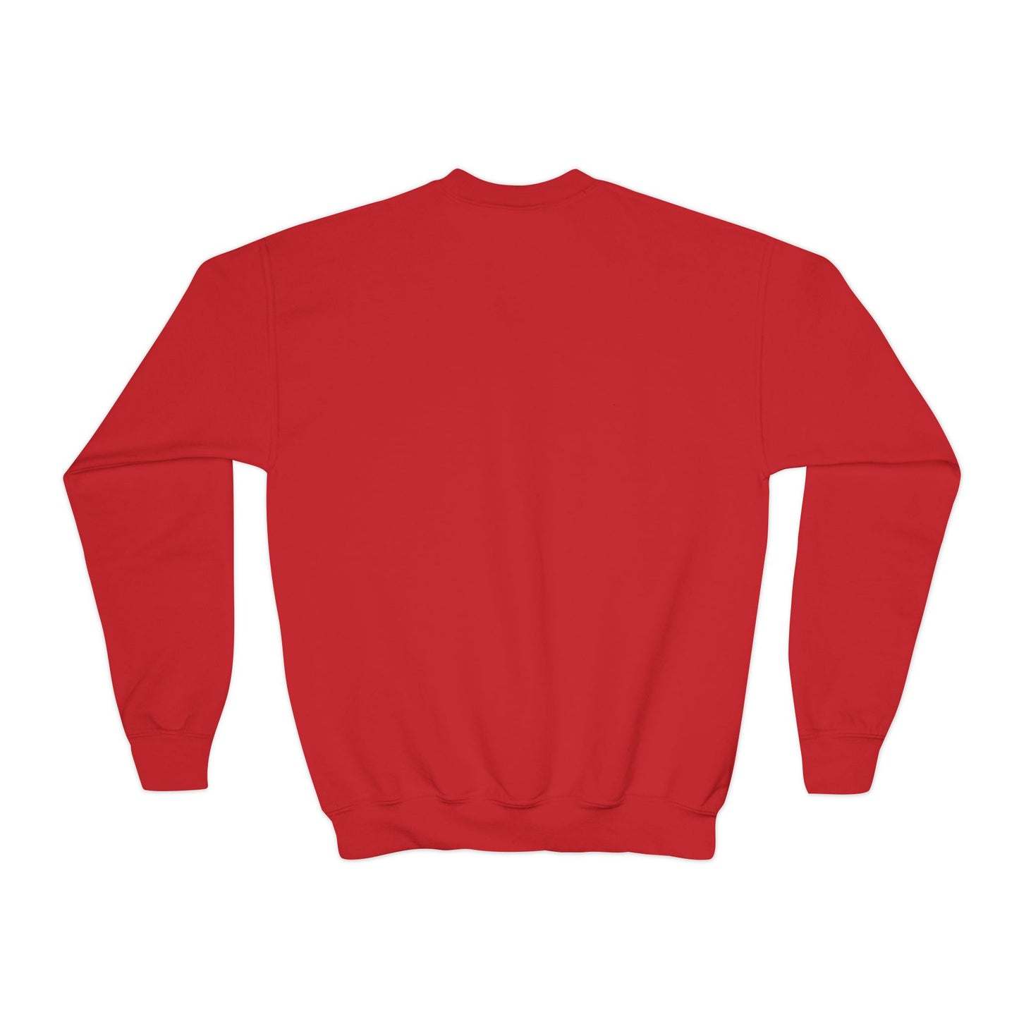Youth Crewneck Little Sister Sweatshirt