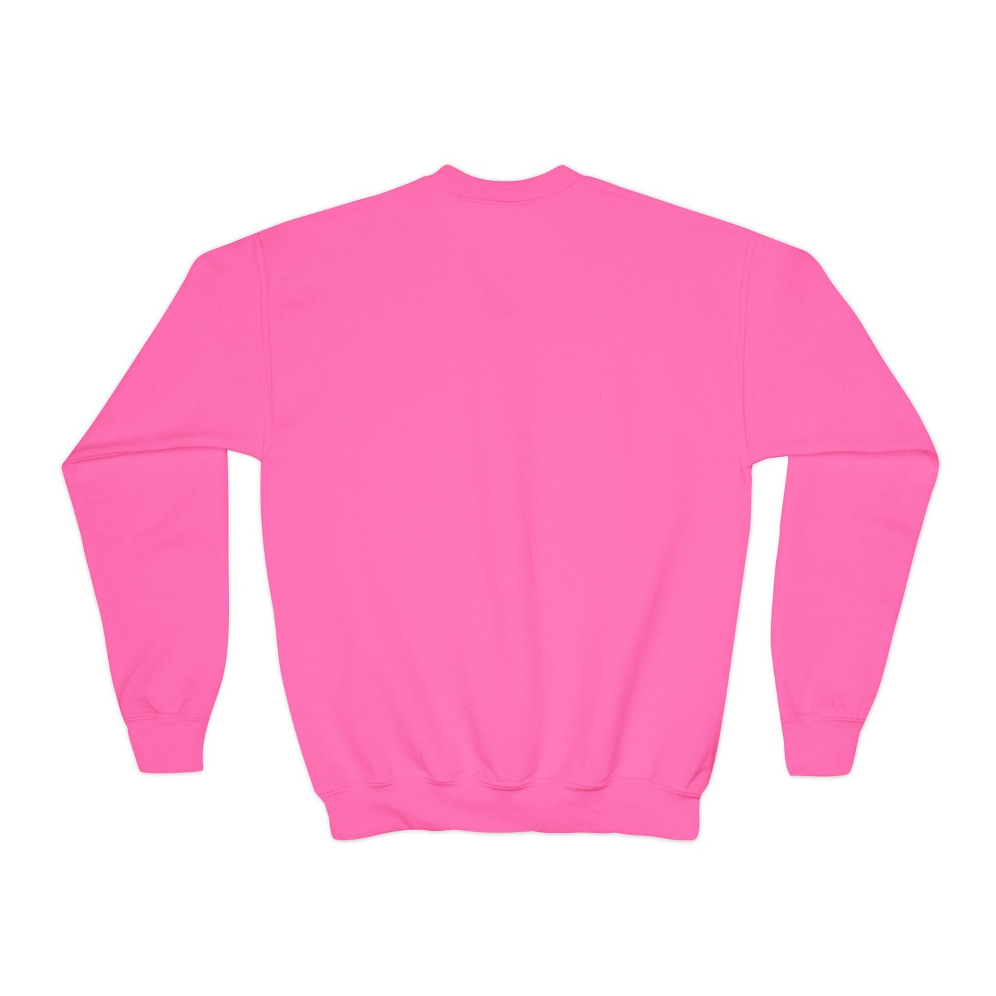 Youth Crewneck Little Sister Sweatshirt