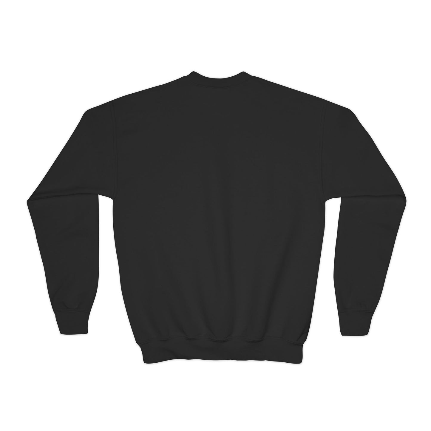 Youth Crewneck Little Sister Sweatshirt
